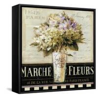 Marche de  Fleurs-Lisa Audit-Framed Stretched Canvas