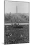 Marchers on the National Mall During the Million Man March, in View Towards the Washington Monument-null-Mounted Photo