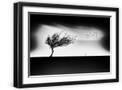 Black Frame