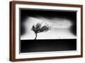 Brown Frame