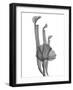 Marching Floral-Albert Koetsier-Framed Art Print