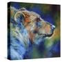 Stretched Canvas
