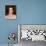 Marcia Cross-null-Photo displayed on a wall