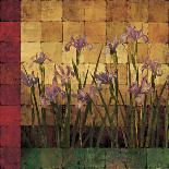 Iris Garden-Marcia Wells-Stretched Canvas