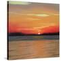 Marcias Retreat-Herb Dickinson-Stretched Canvas