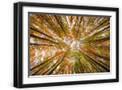 Black Frame