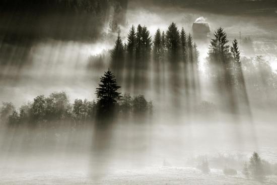 Premium Photographic Print, , large