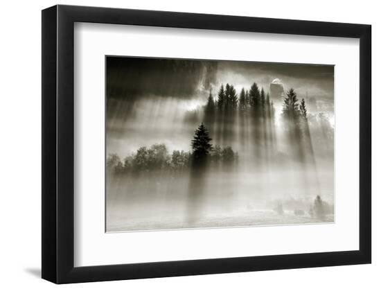 Photographic Print, , large