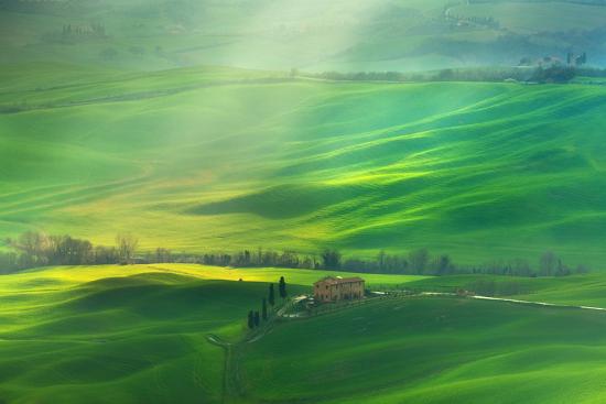 Premium Photographic Print, , large