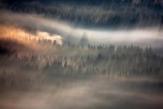 Pulpit on Carpet-Marcin Sobas-Photographic Print