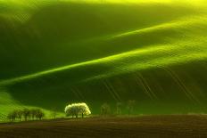 Pulpit on Carpet-Marcin Sobas-Photographic Print