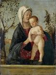 Madonna and Child, C.1510-Marco Basaiti-Giclee Print