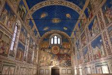 Piazza delle Erbe Square, Palazzo della Ragione Town Hall, Padua, Veneto, Italy, Europe-Marco Brivio-Photographic Print