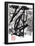 Essential Black