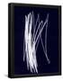 Essential Black