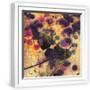 White Frame