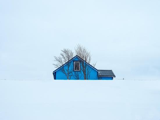 Photographic Print, , large