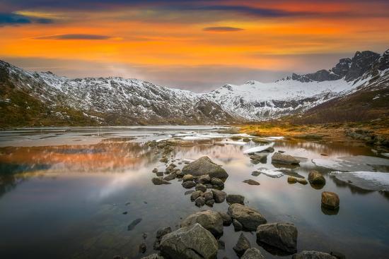 Photographic Print, , large