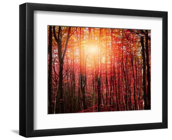 Premium Photographic Print, , large