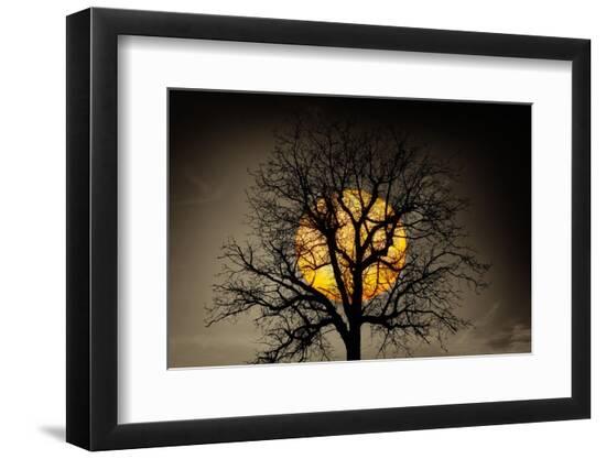 Photographic Print, , large