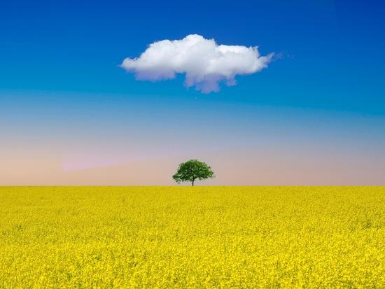 Photographic Print, , large
