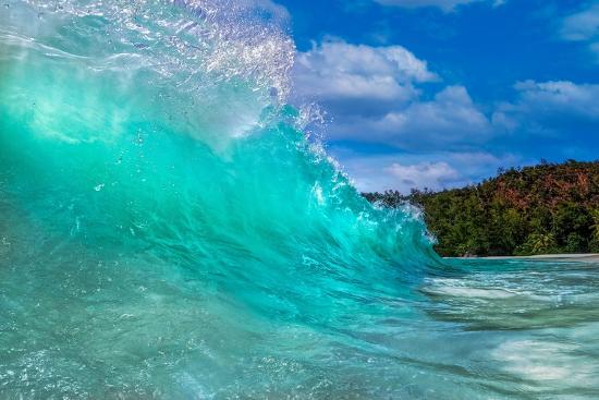 Photographic Print, , large