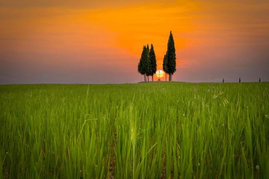 Premium Photographic Print, , large