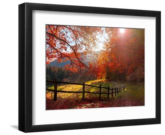 Premium Photographic Print, , large