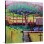 Stretched Canvas