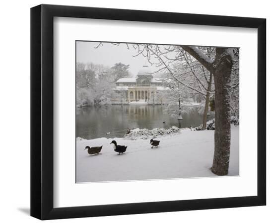 Premium Photographic Print, , large