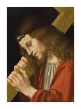 Christ Carrying the Cross-Marco D'oggiono-Art Print