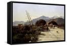 Canvas Black