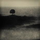 A Tree, a Cross and an Animal on a Small Piece of Land by the Sea-Marco Diaz-Photographic Print