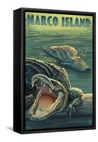 Marco Island - Alligators-Lantern Press-Framed Stretched Canvas