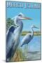 Marco Island - Blue Herons-Lantern Press-Mounted Art Print
