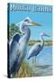 Marco Island - Blue Herons-Lantern Press-Stretched Canvas