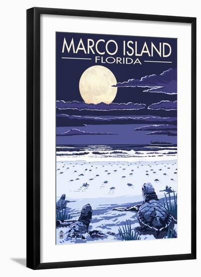 Marco Island, Florida - Baby Sea Turtles-Lantern Press-Framed Art Print
