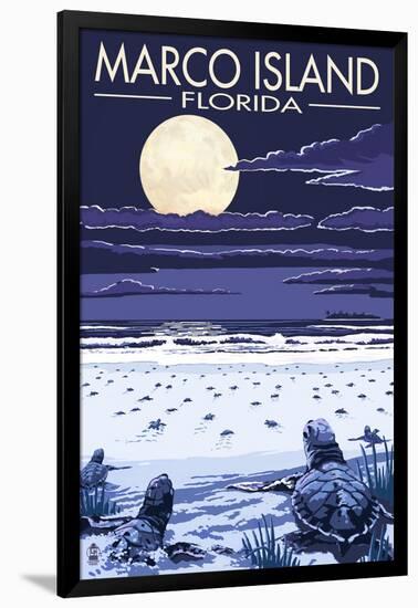 Marco Island, Florida - Baby Sea Turtles-Lantern Press-Framed Art Print