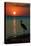 Marco Island, Florida - Heron and Sunset-Lantern Press-Stretched Canvas