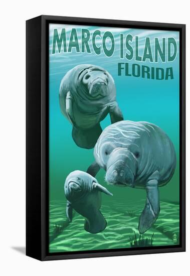 Marco Island, Florida - Manatees-Lantern Press-Framed Stretched Canvas