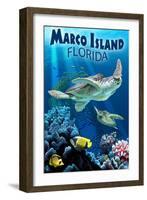 Marco Island, Florida - Sea Turtles-Lantern Press-Framed Art Print