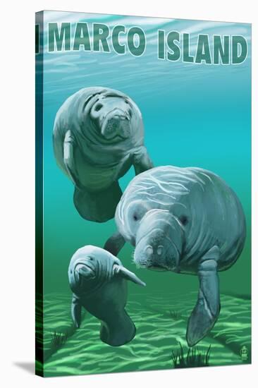 Marco Island - Manatees-Lantern Press-Stretched Canvas