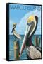 Marco Island - Pelicans-Lantern Press-Framed Stretched Canvas