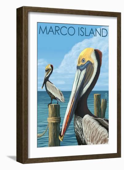 Marco Island - Pelicans-Lantern Press-Framed Art Print