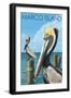 Marco Island - Pelicans-Lantern Press-Framed Art Print
