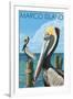 Marco Island - Pelicans-Lantern Press-Framed Art Print