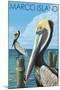 Marco Island - Pelicans-Lantern Press-Mounted Art Print