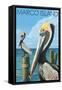 Marco Island - Pelicans-Lantern Press-Framed Stretched Canvas