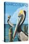 Marco Island - Pelicans-Lantern Press-Stretched Canvas