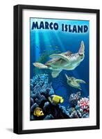 Marco Island - Sea Turtles Swimming-Lantern Press-Framed Art Print